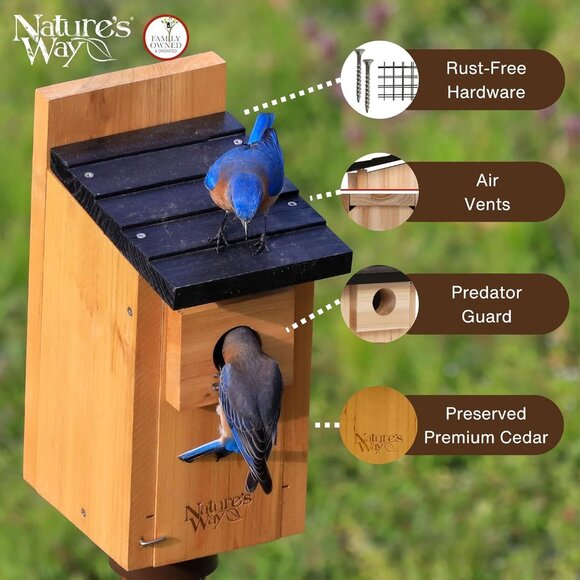 Bird Products Cedar Bluebird Box House - Picture 3 of 6